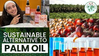 This Invention Is Saving the Rainforest! | Sustainable Alternative to Palm Oil