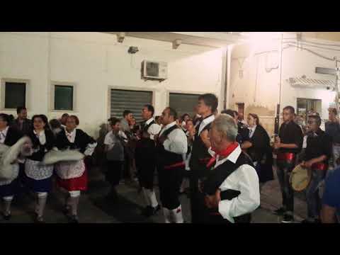 L'ape che ronza ruvo di Puglia