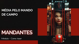 Média pelo mando de campo
