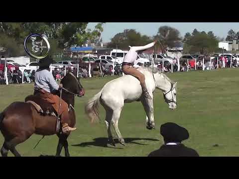 1º Festival en Villa Clara - Dto. Villaguay - Categ. Clina - Coord. Augusto Ojeda - Agosto 2025