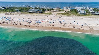 Shark and Bunker Frenzy off Fire Island