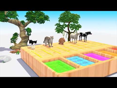 CHILDREN Race of Animals / Course des animaux