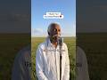 “Thank You” Soul Pop by Dusty Rivers ♥️ #soulmusic