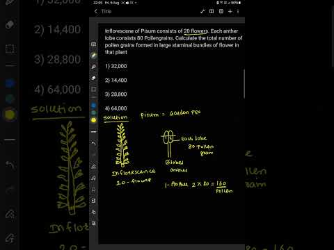 Inflorescene of Pisum consists of 20 flowers. Each anther lobe consists 80 Pollengrains.