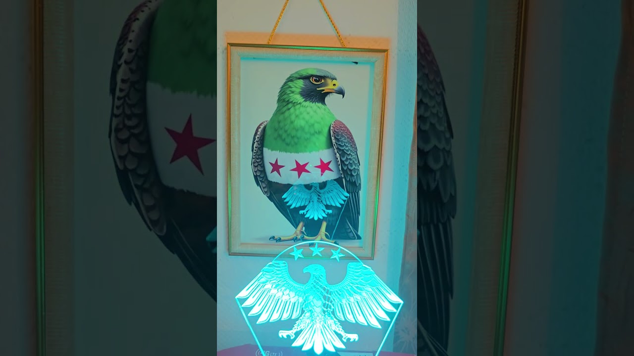 خبر عاجل الذي قال للشرطي انا مخابرات صار عن المخابرات وهل هو مخابرات؟