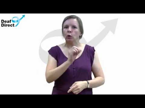 Deaf Direct newsletter - 15.08.2014 Summer Camp