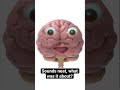 Lucid Dreams. - My ADHD Brain Lucid Dreams.