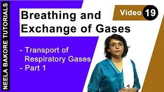 Breathing and Exchange of Gases | NEET | Transport of Respiratory Gases | Neela Bakore Tutorials