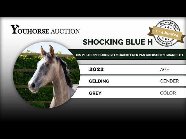 Shocking Blue H