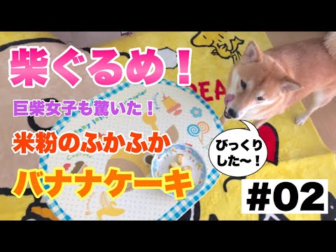 「犯罪現場: プロフェテウス」: マスター氏、マン氏、犬のバナナとは誰ですか?