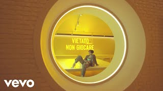 Vacía Lyrics English Translation