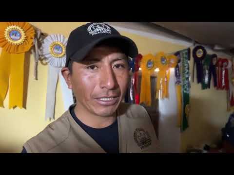 Inseminación Artificial a Tiempo Fijo - Azángaro