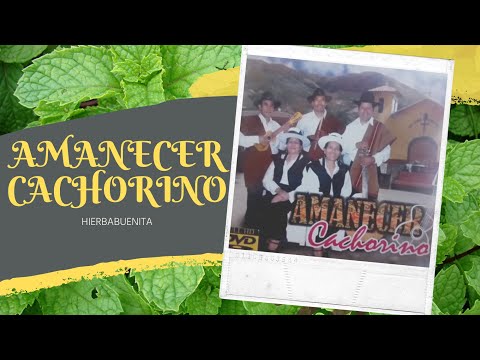 Amanecer Cachorino - Hierbabuenita