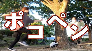 【第１２６品目】ほぼアラサーが「ポコペン」を全力で遊ぶ！！！