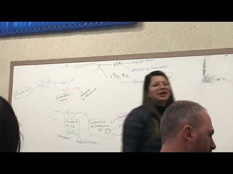 Bioquímica Clínica aula 02 Hemograma