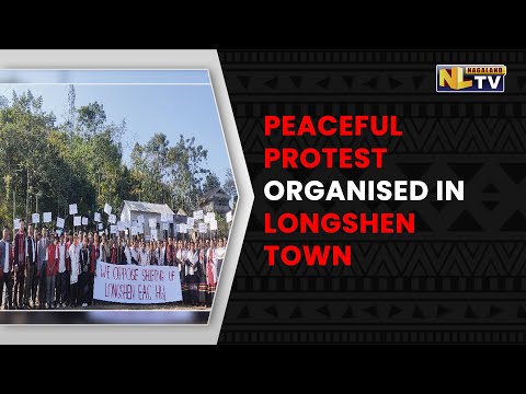 LONGSHEN TOWN ORGANISES PEACEFUL PROTEST