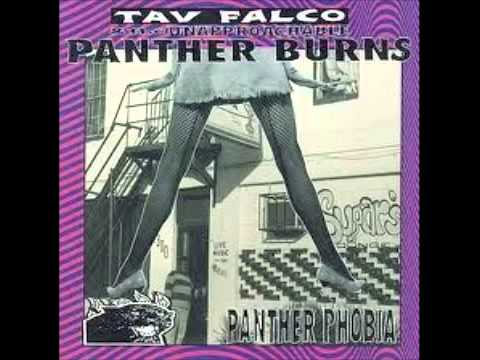 Streamline Train - Tav Falco & The Panther Burns