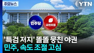 '특검 저지' 똘똘 뭉친 야권...민주, 속도 조절 고심? / YTN
