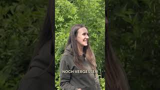 Frischling. Feuer. Fertig.🐗🔥 von @Elisa