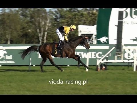 Gon. VII - 12.10.2019 - Atman (Most Improved - Borris In Ossory)