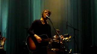 Peter Doherty - New love grows on trees