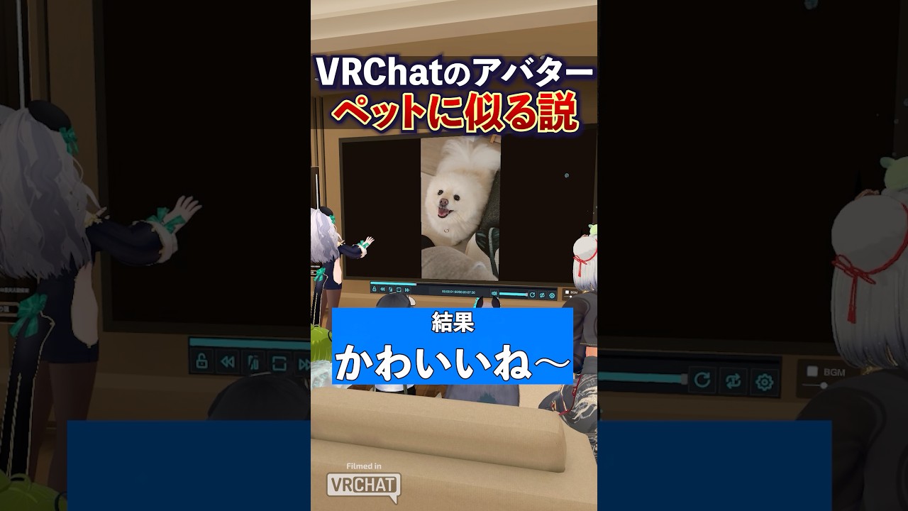 ペットと飼い主のアバター、絶対似る説 #Shorts #VRChat #Vket #ペット