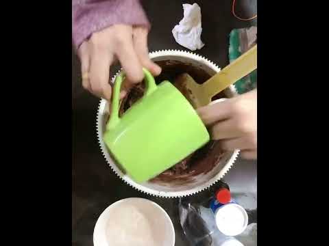 Chocolate Cake with Chocolate Chip