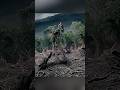 The Ents’ Wrath: Nature’s Fury Unleashed | LOTR: The Two Towers Breakdown 🌳🔥