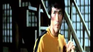 The Fighters 5 - Action Movies