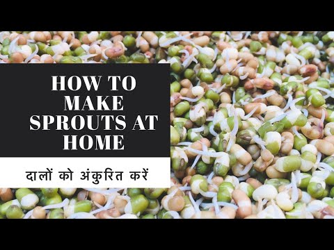 दालों को अंकुरित करें । How to make sprouts at home | Super food To Fight Hairfall & Dull Skin |