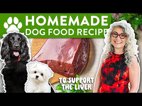 Dr. Judy's Liver Support Recipe For Dogs