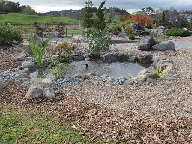 How to build a small fish pond