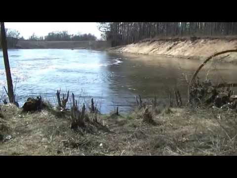 Gąsiorowo - wysoka woda, wiosna 2013r.