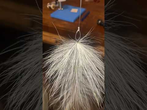 Bob Popovics’s BEAST FLY in 60 second #flytying #flyfishing #musky #predatorfish