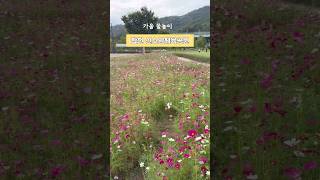 합천 신소양체육공원