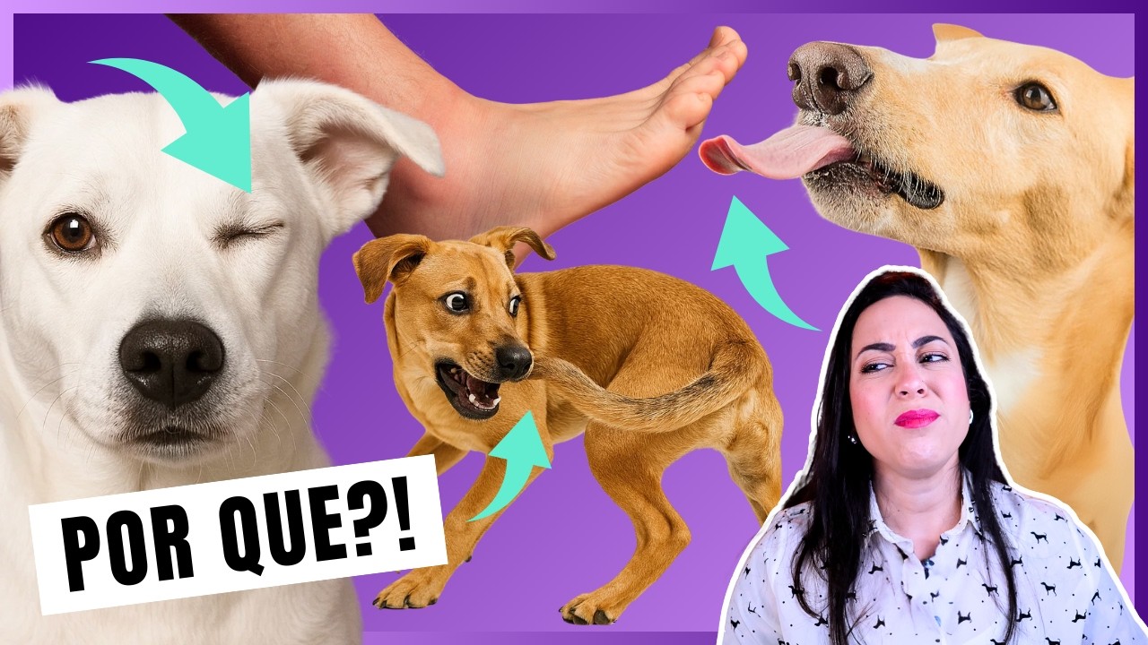 15 Behaviors Explained – Why Does Your Dog Do This?