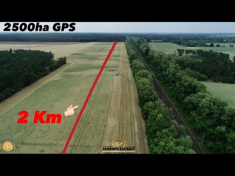 2 Km Acker! Großeinsatz 2500ha GPS - Roggen Ganzpflanzensilage häckseln Jaguar 990 TT Köhl Harvest