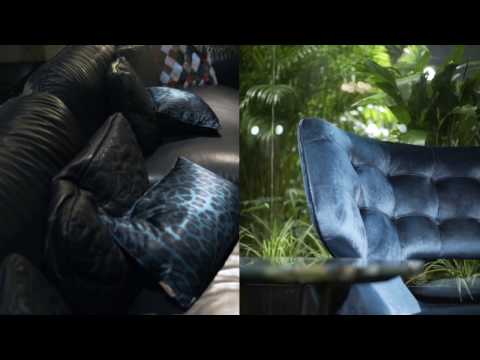 download lagu mp3 mp4 Roberto Cavalli Home, download lagu Roberto Cavalli Home gratis, unduh video klip Roberto Cavalli Home