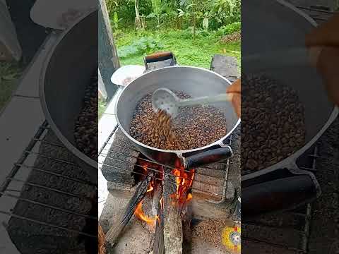 torrando café  sul da bahia  camacan bahia