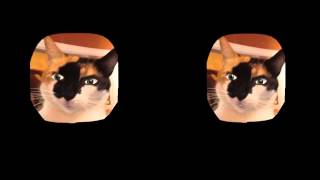 Martini Ranch / (Brother) Take It Out