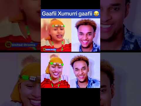 Makkii and ibsisha gafifi debiii