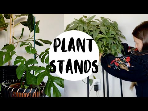 , title : 'My Favorite Plant Furniture! | PLANT STAND HAUL!