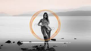 Dj Goja x Robert Cristian - No Secrets