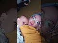 Udah Gede Masih Nenen Nenen Udahgedemasihnenen Bayicomel Bayigemes Shorts