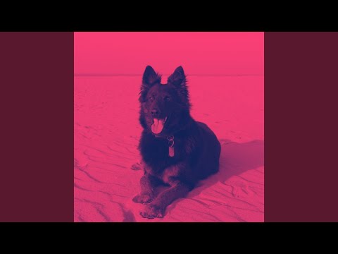 Serene (Resting Puppies)