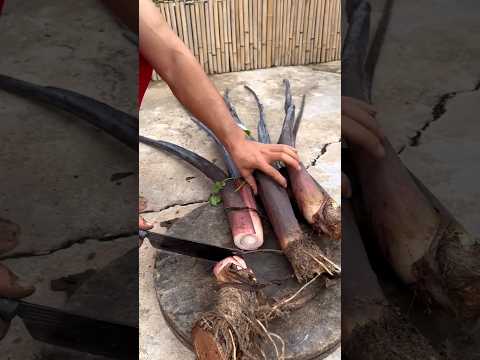 #shorts #agriculture #farming2024 #satisfying #machine #shot #EliteShortsUnleashed #5086