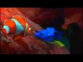 Finding Nemo How Do You Know Mp4