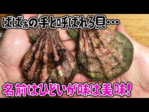 ばばぁの手と呼ばれる貝…名前はひどいが味は美味