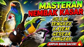 Download lagu #03 MASTERAN KOMBINASI ROLL KASAR, PANJANG, FULL NEMBAK TAJAM, MEWAH, SUARA JERNIH mp3