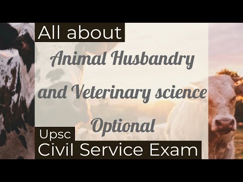 Dr. Sara May, Allergy and Immunology